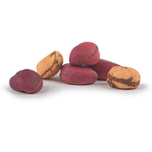 NOIX DE COLAS / NOIX DE KOLA ( LOT DE 3)