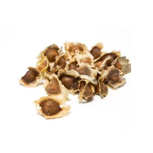 GRAINE DE MORINGA 100g