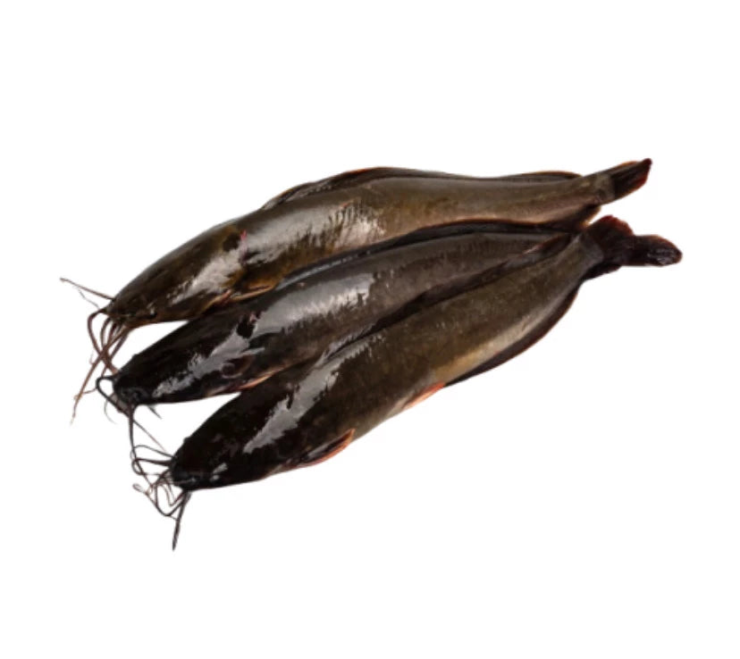 Poisson chat 1Kg