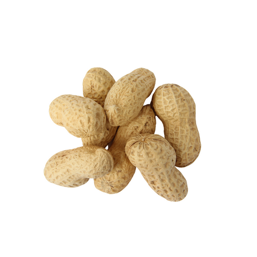 ARACHIDES EN COQUES 100g