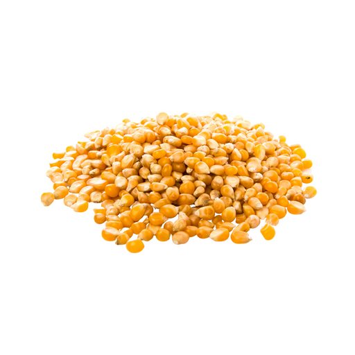 MAÏS POPCORN 1kg