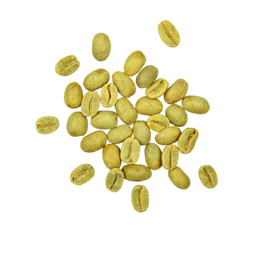 CAFE VERT EN GRAIN ETHIOPIE VRAC WALLAGA – LEKEMPI 100 g