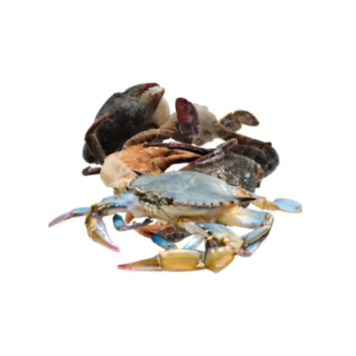 Crabe Bleu Madagasca 1Kg